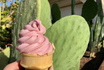Unique Sweets